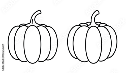 Pumpkin Pulp Line Art Seasonal Harvest