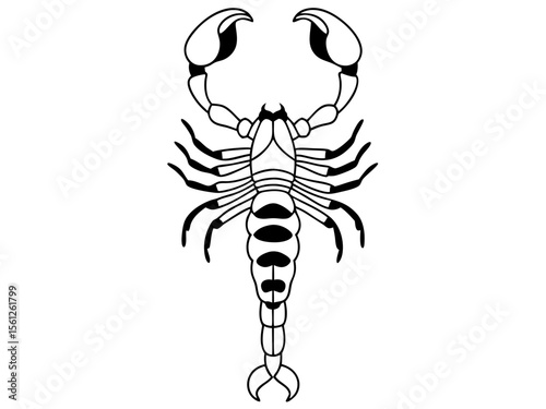 White background scorpion vector illustration for zodiac and tattoo design