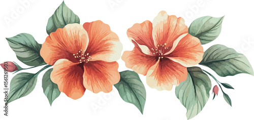 Exotic flower isolated on white