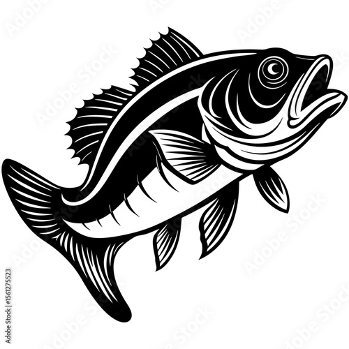 fish vector illustration