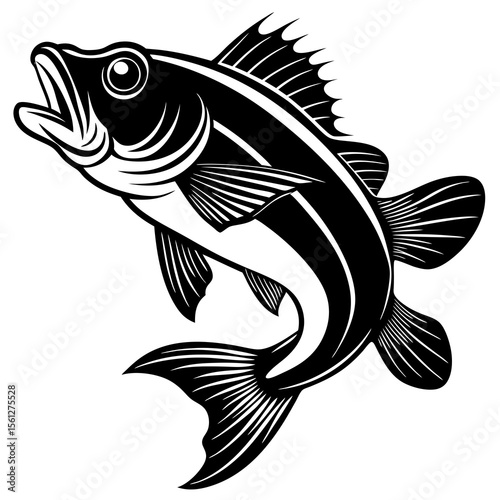 fish on a white background
