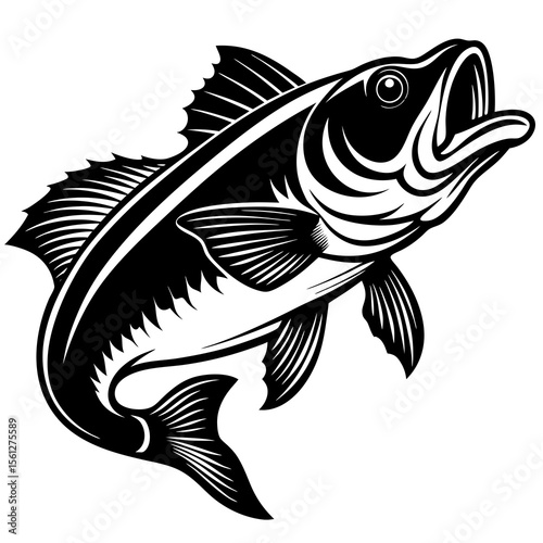fish vector illustration