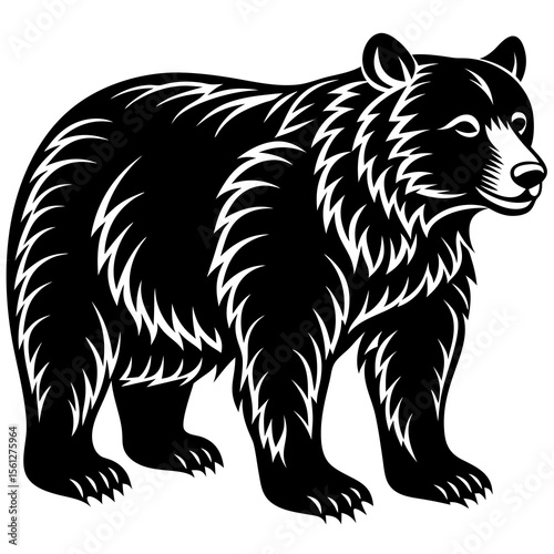 black bear vector