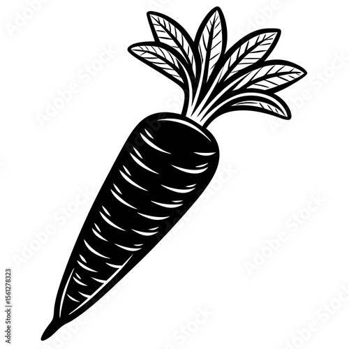 carrot vector illustration