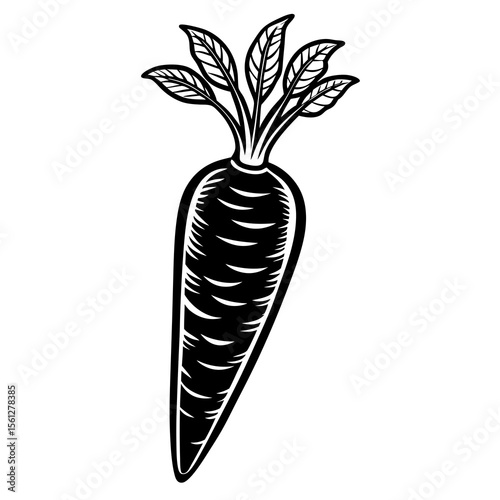 carrot vector illustration