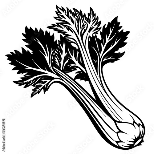 onion and parsley
