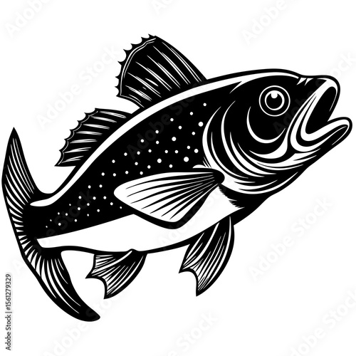 fish vector illustration
