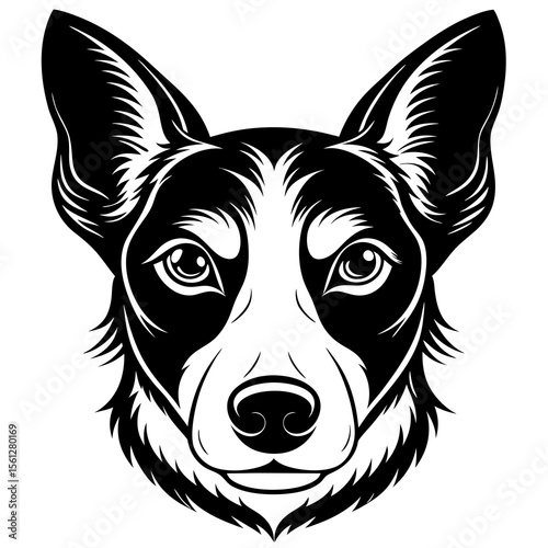 portrait of a dog