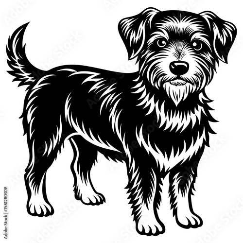 black dog on white background