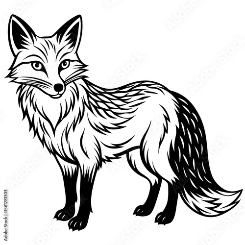 fox vector illustration