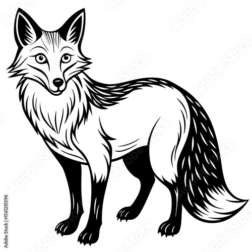 fox cartoon illustration