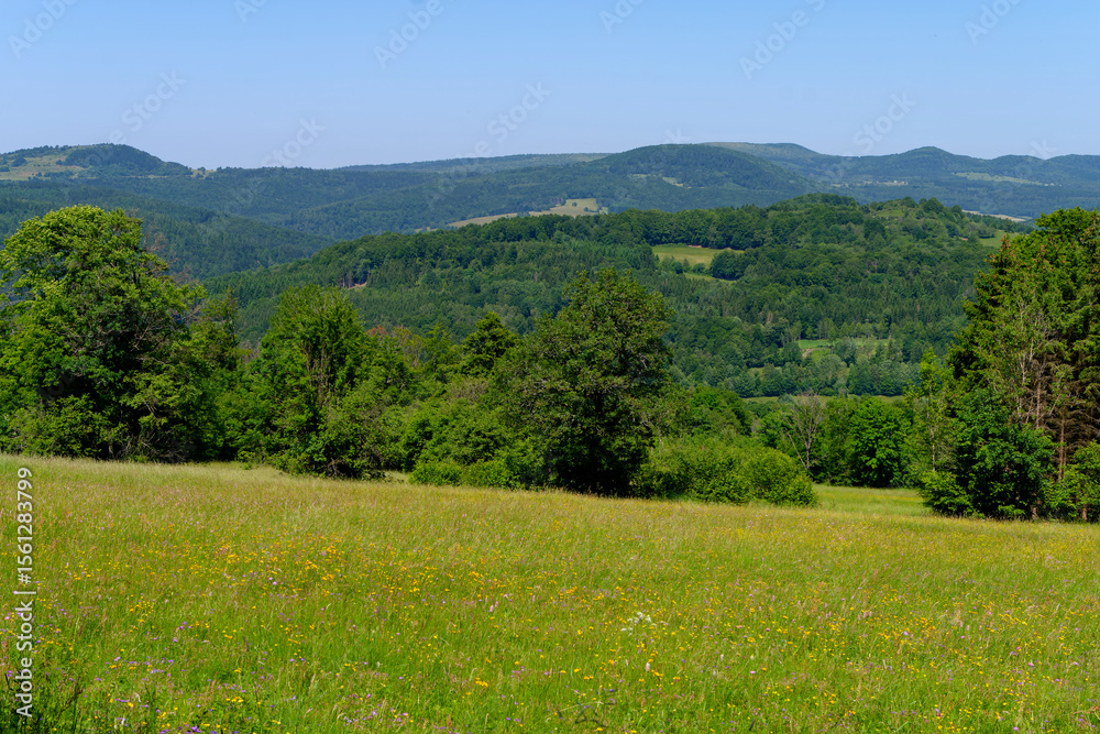 Fototapeta premium Blick vom Farnsberg bei Riedenberg auf die Gipfel der Schwarzen Bergen, Biosphärenreservat Rhön, Landkreis Bad Kissingen Unterfranken, Franken, Bayern, Deutschland