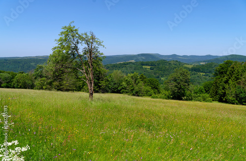 Blick vom Farnsberg bei Riedenberg auf die Gipfel der Schwarzen Bergen, Biosphärenreservat Rhön, Landkreis Bad Kissingen Unterfranken, Franken, Bayern, Deutschland