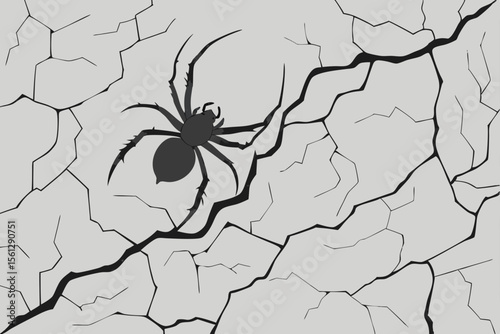Spider silhouette on a cracked wall texture vector illustration