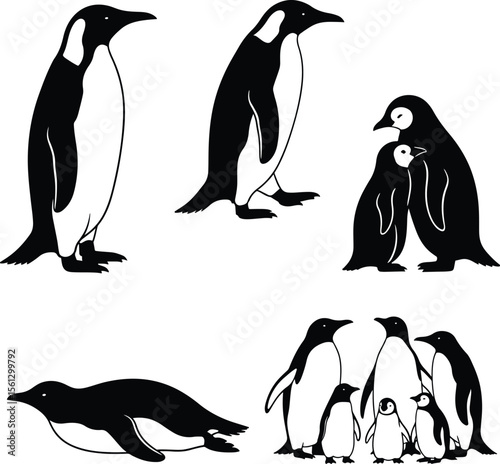 Flat vector silhouettes of penguins in various postures..