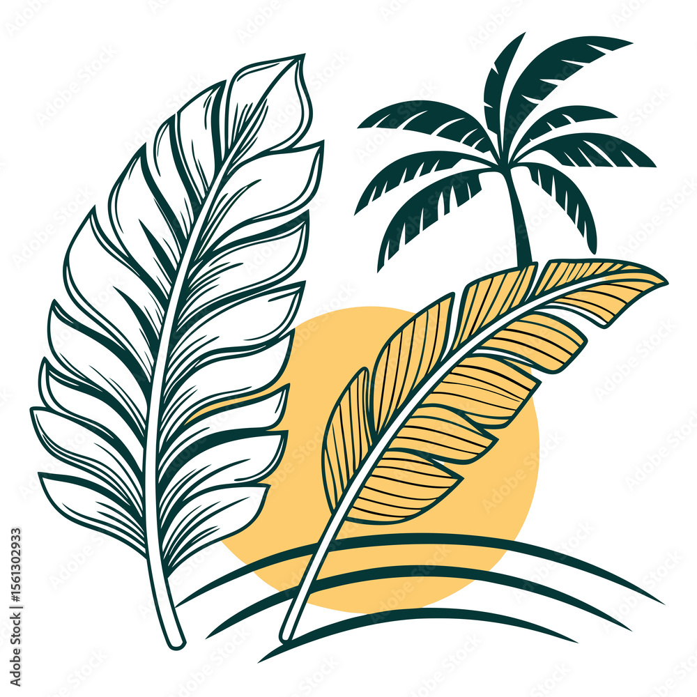 Obraz premium vector set of feathers
