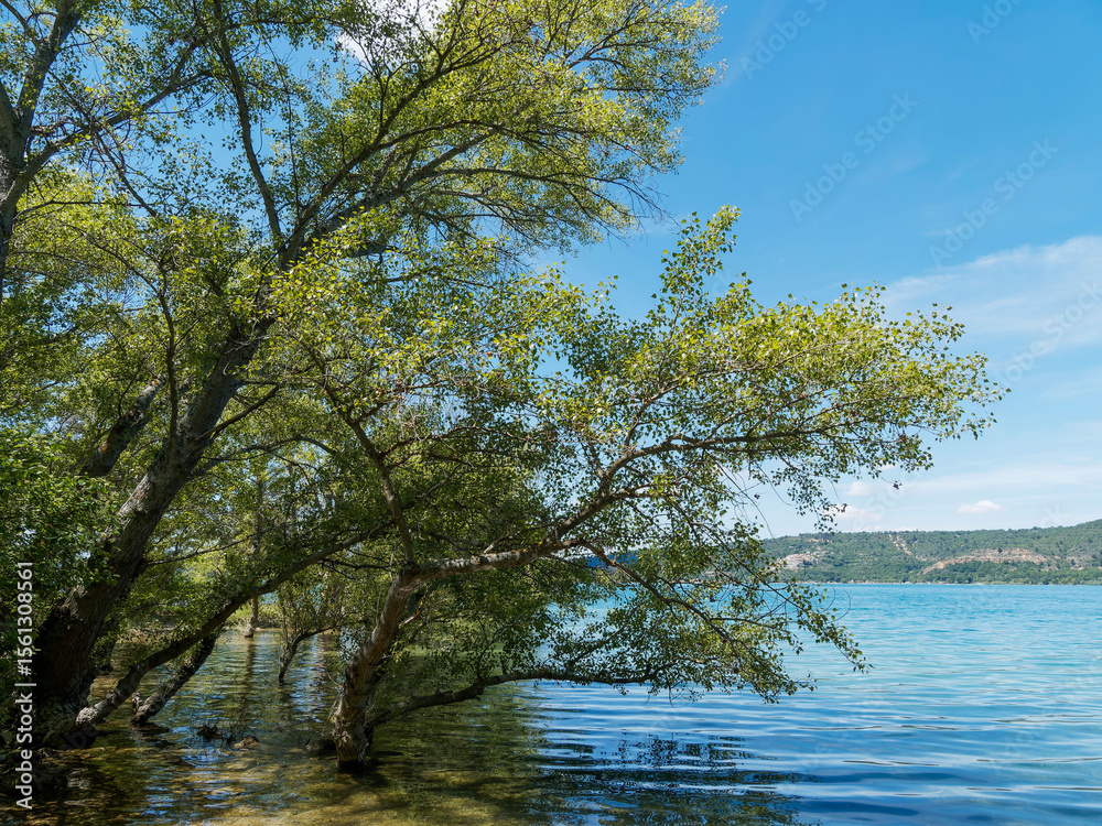 Obraz premium Petite plage de Sable au bord du lac de Sainte-Croix au pied des Gorges du verdon, le long du sentier GR 99 depuis Bauduen au pied de la Colline du Defens