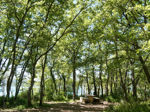 Le sentier de GR 99 sur la rive Sud du Lac de Sainte-Croix au pied du Verdon. Espace de détente et restauration à l'ombre des chênes blancs bordant le lac
