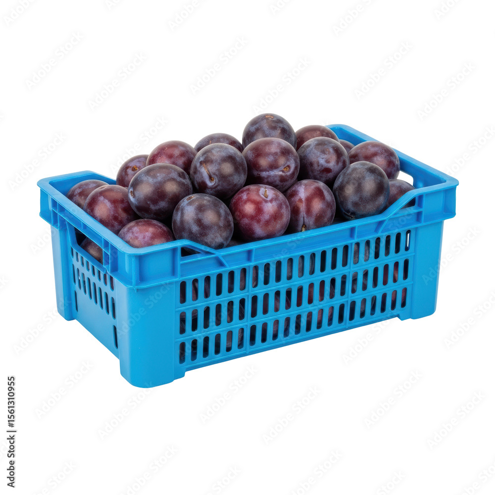 Obraz premium A blue plastic crate is filled to the brim with ripe, dark purple plums. This image is ideal for showcasing fresh produce, healthy eating, or market displays.