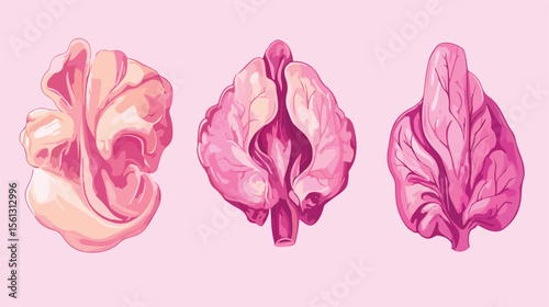 Breast Cancer Awareness Flat Vector Design Illustration