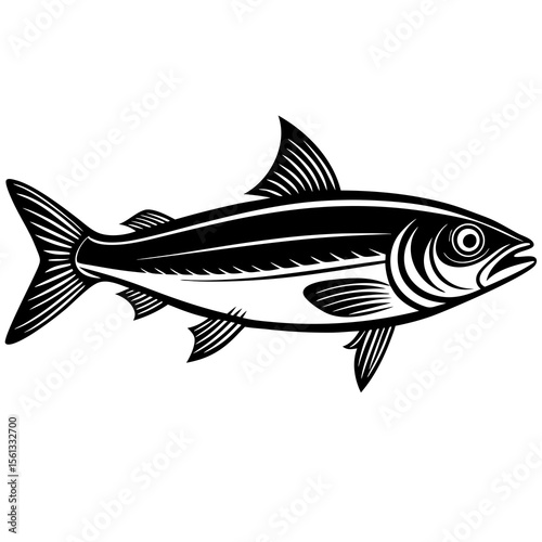 fish vector illustration