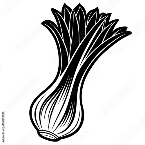 onion isolated on white
