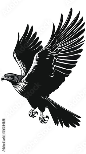 Monochrome vector illustration of a soaring bird of prey with detailed wings feathers and sharp gaze in minimalist style