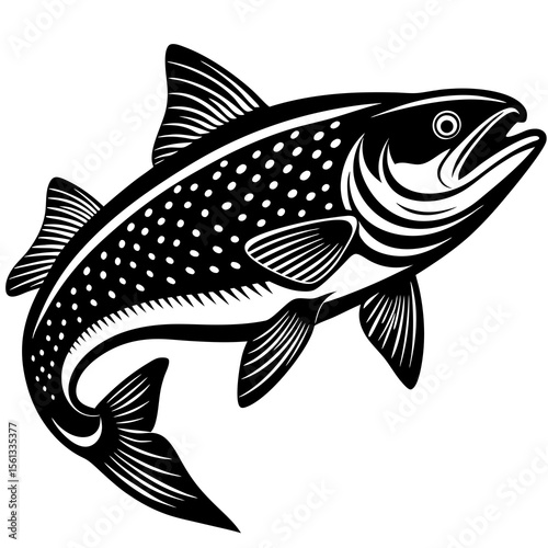 fish on a white background