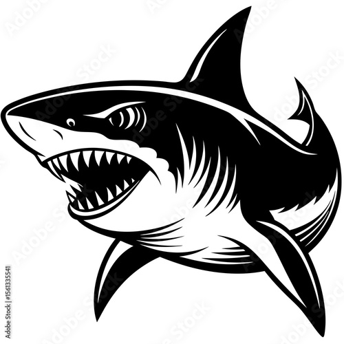 shark vector illustration