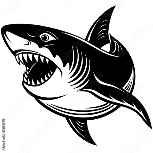 shark vector illustration