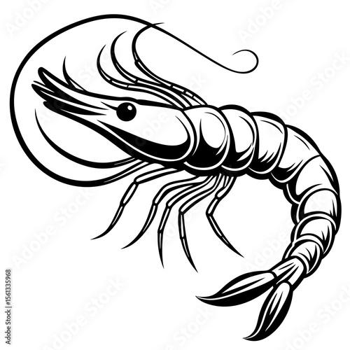 vector illustration of a shrimp