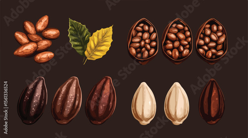 Cacao Seeds and Leaf Flat Vector Illustration