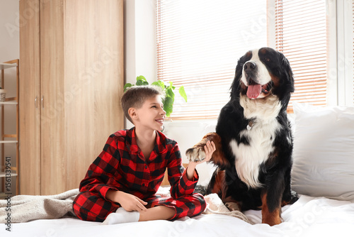 Little boy holding Bernese ...