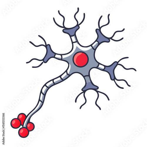 Cartoon neuron cell illustration with axon and synaptic connections  