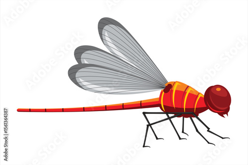 Vector Dragonfly Illustration. Colorful vector dragonflies with detailed wings on white background.