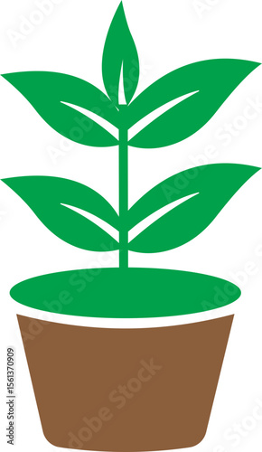 Bush potted plant flat icon. Silhouette growing home plant and seedling for decorating interior with nature and planting with cultivation in vector garden. Symbol of growth, freshness and eco.