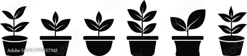 Black bush potted plant flat icon set. Silhouette growing home plant, seedling for decorating interior with nature and planting with cultivation in vectors garden. Symbol of growth, freshness and eco.