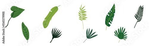 Green Tropical Leaf and Jungle Foliage Vector Set