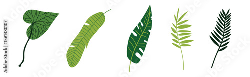 Green Tropical Leaf and Jungle Foliage Vector Set