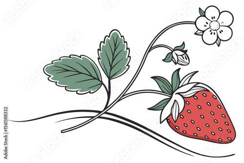 Strawberry Illustration in Clean Minimal Style for Organic Fruit Branding