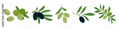 Green and black olive branches with subtle texture, vector illustration set