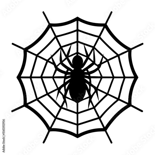 Spider on web vector art illustration