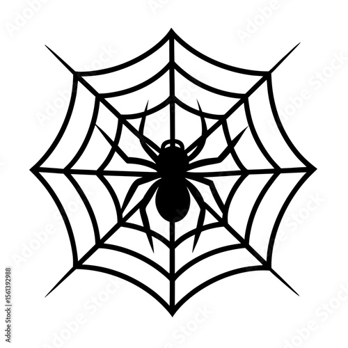 Spider on web vector art illustration