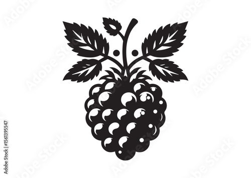 Berry Silhouette Vector Illustration