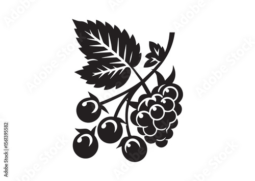 Berry Silhouette Vector Illustration