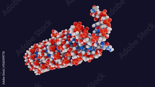 MicroRNA precursor molecule, animation