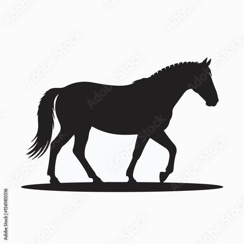Silhouette of a majestic horse in profile walking with graceful and powerful motion across the field