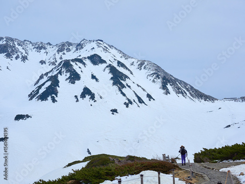 観光名所立山黒部アルペンルートの室堂の雪原と観光客の姿