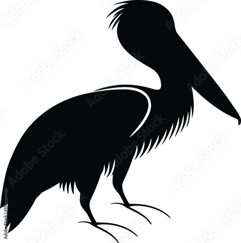 Pelican Silhouette