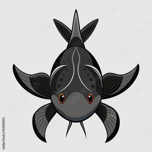 Black Vector Of A Catfish Seen From Above Symme